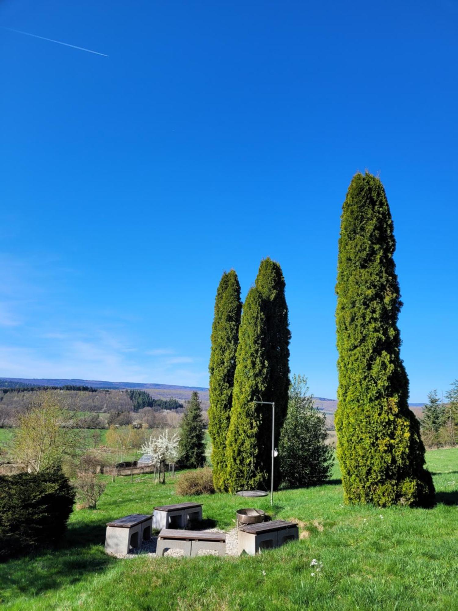 Ferienhaus Wilder Hunsrueck Schmissberg Exteriör bild